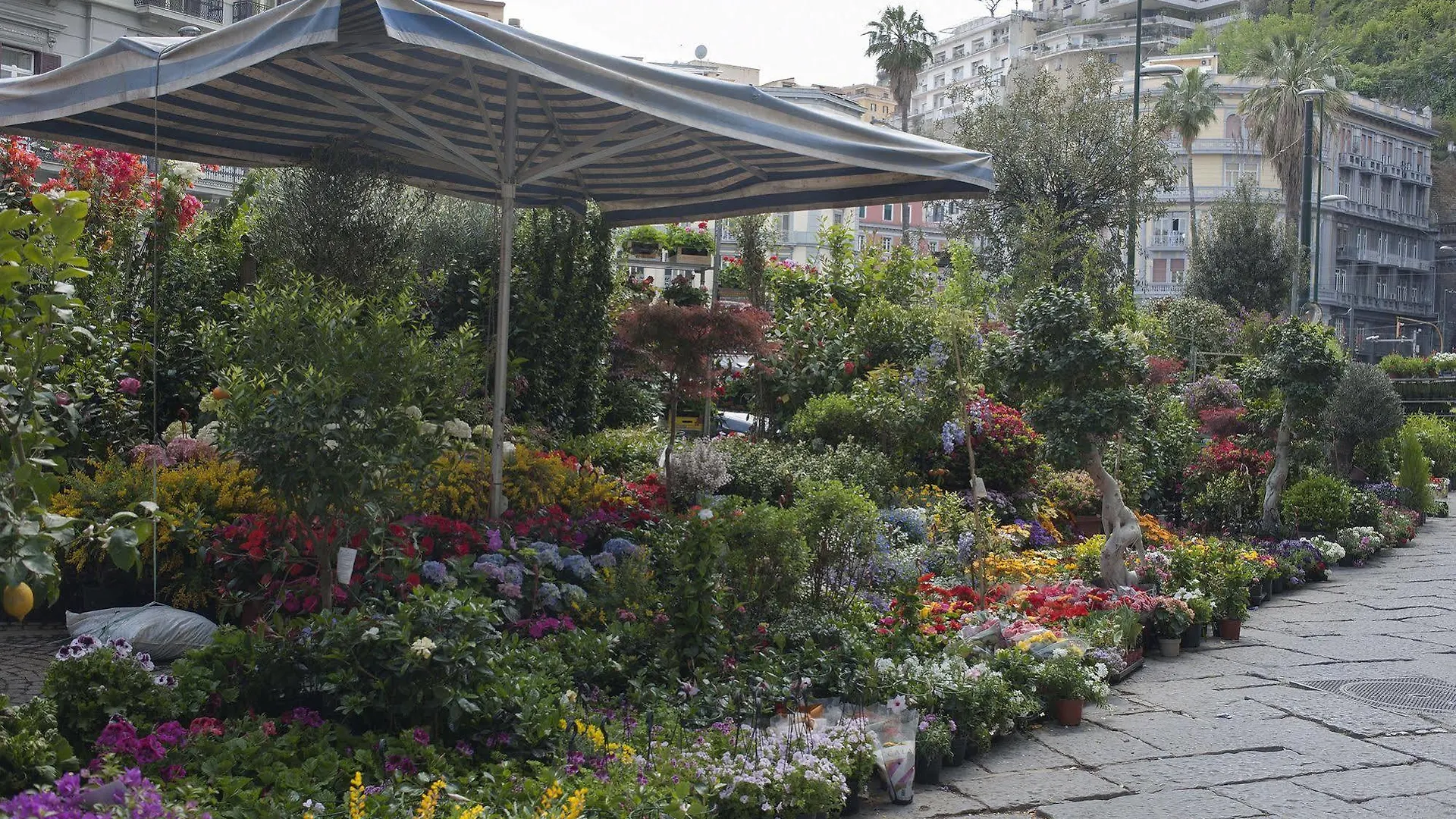 Areamare Bed & Breakfast Naples