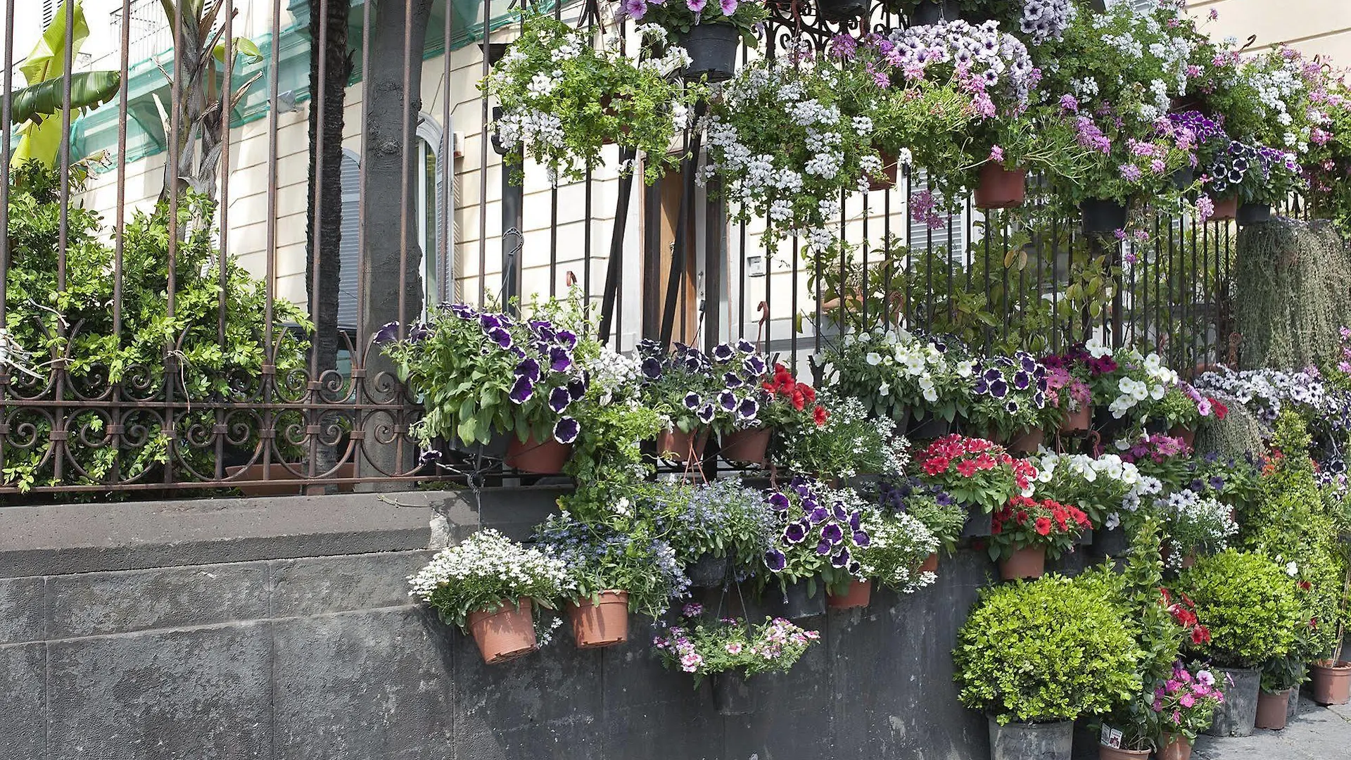 Areamare Bed & Breakfast Naples